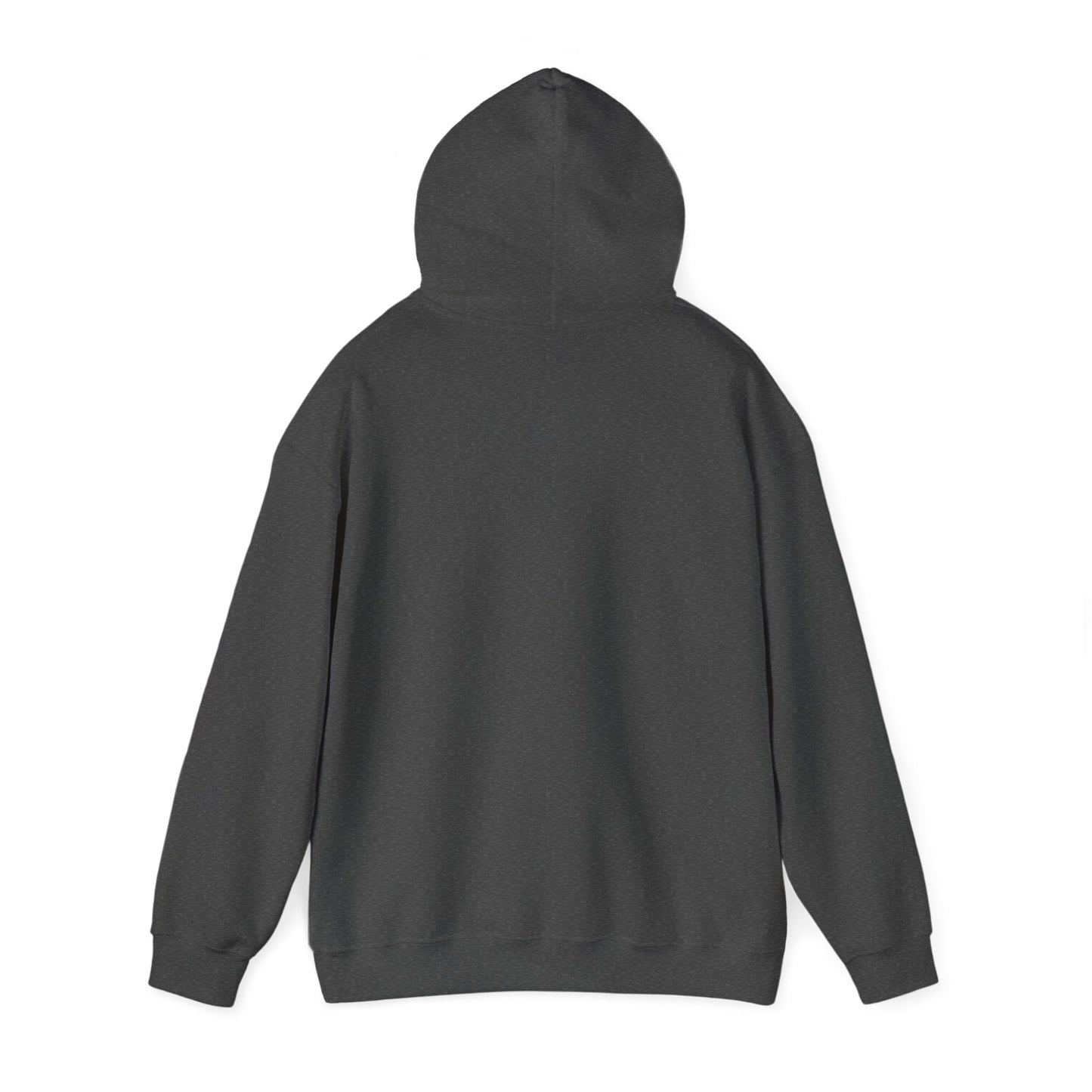 Adult hoodie