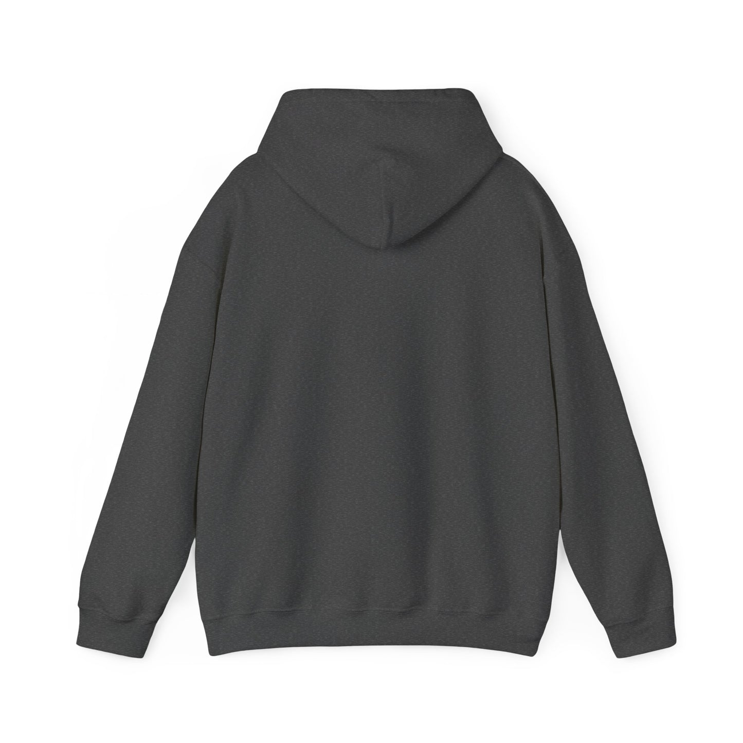 Adult hoodie